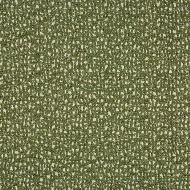 Lee Jofa Modern Serra Chive 3783-30 Oculum Indoor/Outdoor Collection by Kelly Wearstler Upholstery Fabric