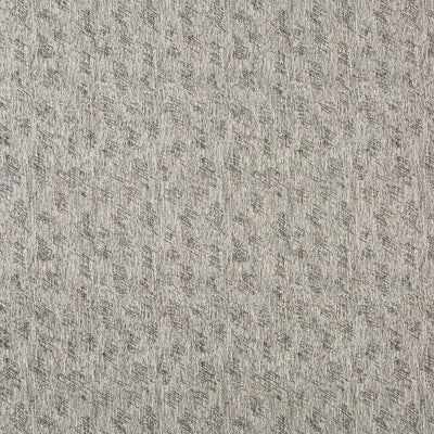 Lee Jofa Thatched Ash 2019143-18 Terra Firma III Indoor/Outdoor Collection by Kelly Wearstler Upholstery Fabric