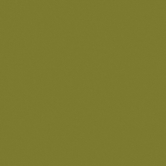 Mayer Apollo Silicone Basil SAP-003 Upholstery Fabric
