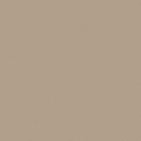Mayer Apollo Silicone Latte SAP-027 Upholstery Fabric