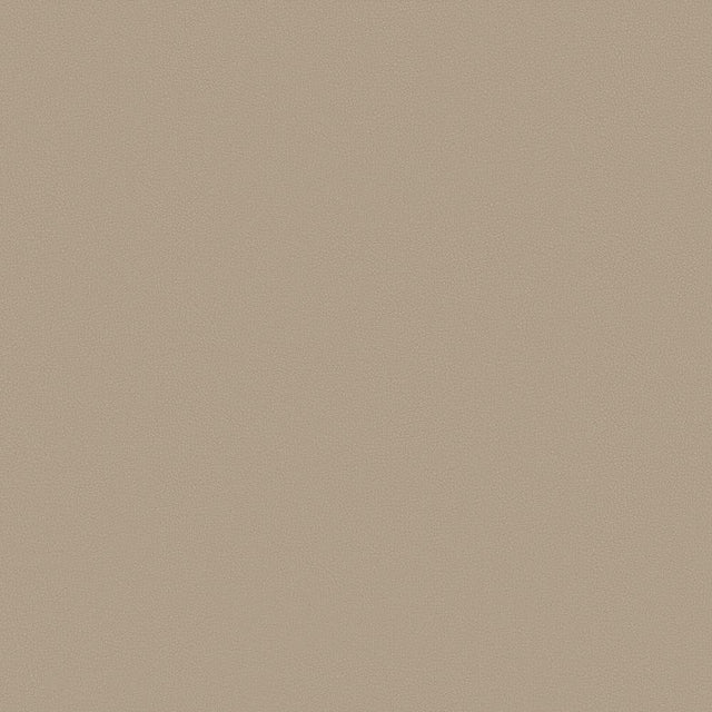 Mayer Apollo Silicone Latte SAP-027 Upholstery Fabric