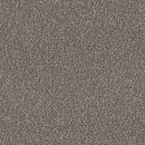 Mayer Belize Driftwood 326-000 Getaway Collection Upholstery Fabric