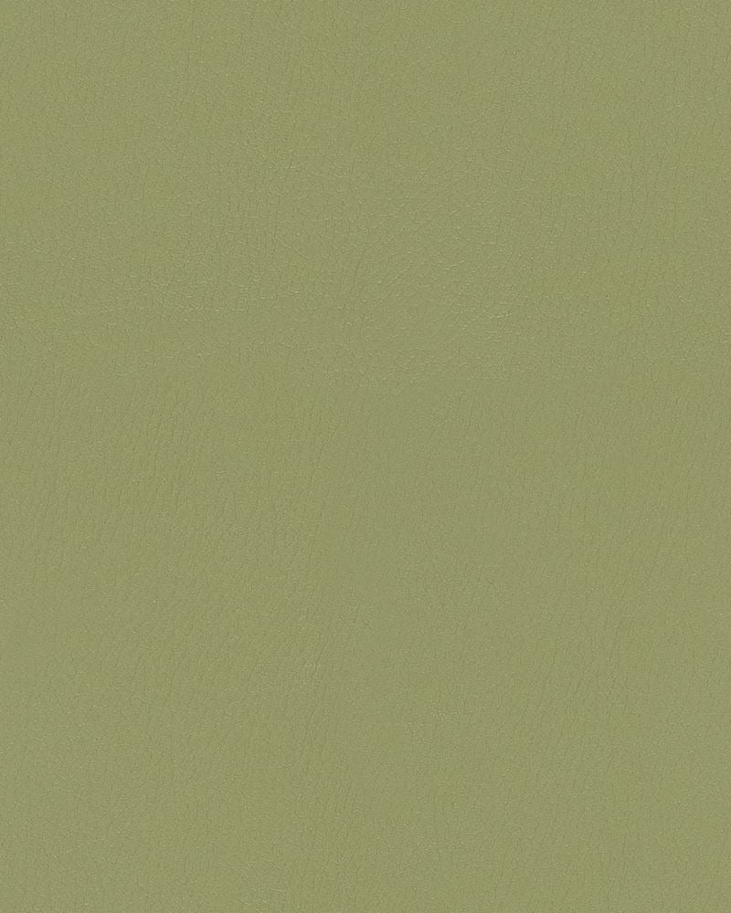 Mayer Durango Jade DU-023 Cambridge Coordinates Collection Upholstery Fabric