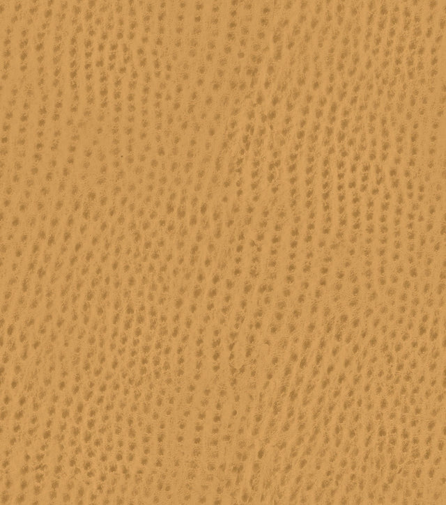 Mayer Outback Caramel OB-017 Upholstery Fabric
