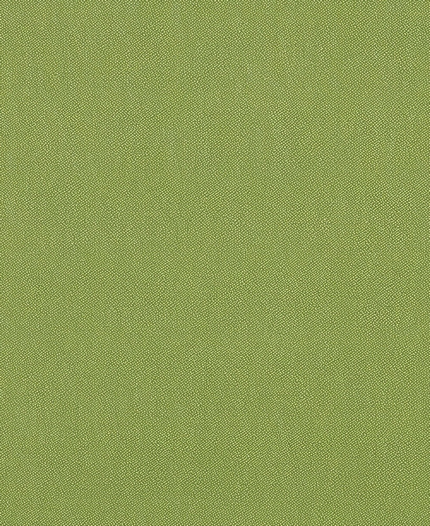 Mayer Silverweave Lime Sw - 043 Upholstery Fabric
