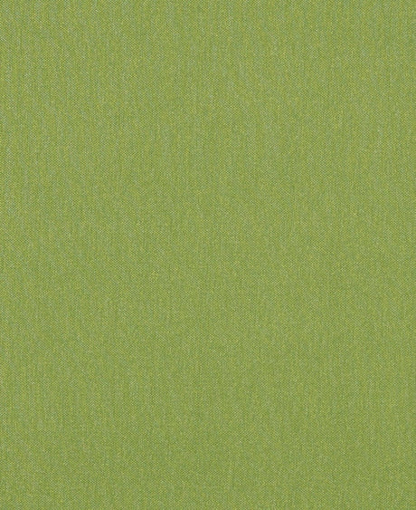 Mayer Silverweave Lime Sw-043 Upholstery Fabric