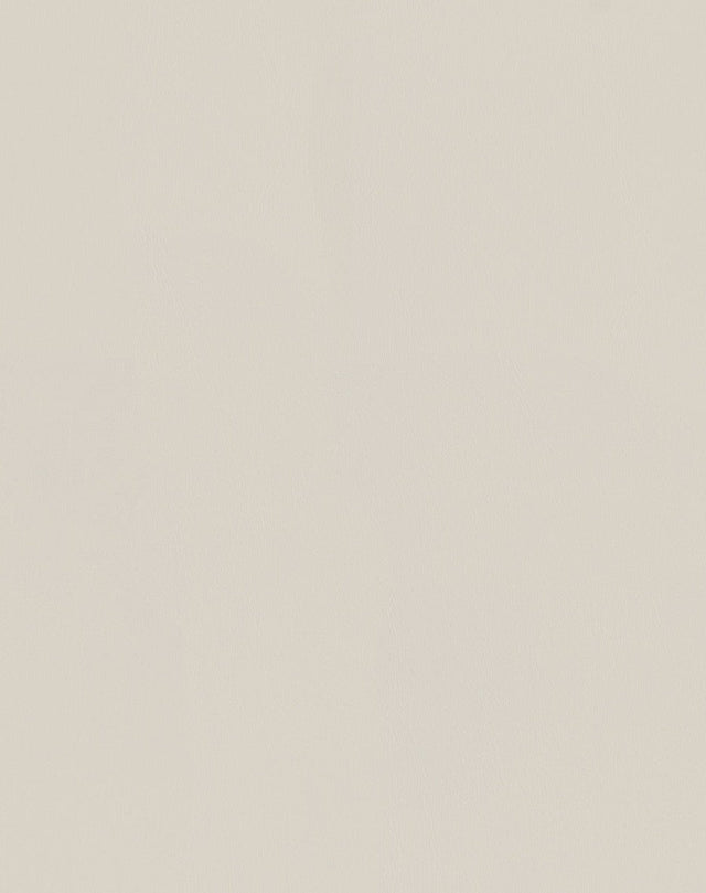 Mayer Spartan Alabaster SN-017 Craftsman Collection Upholstery Fabric