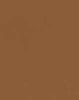 Mayer Spartan Caramel SN-020 Craftsman Collection Upholstery Fabric