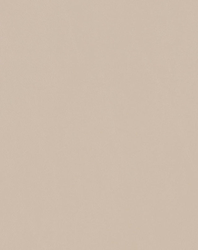 Mayer Spartan Doe SN-047 Craftsman Collection Upholstery Fabric
