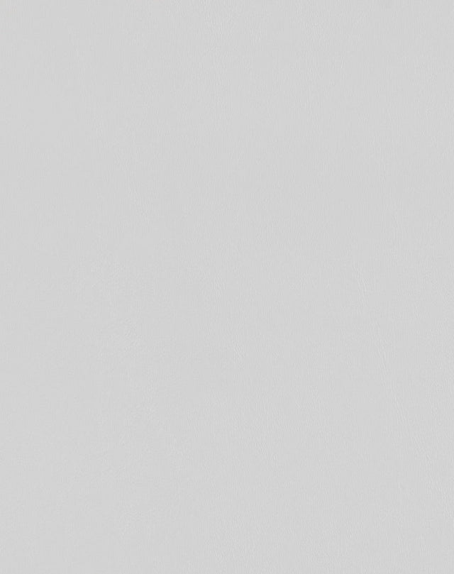 Mayer Spartan Glacier SN-037 Craftsman Collection Upholstery Fabric
