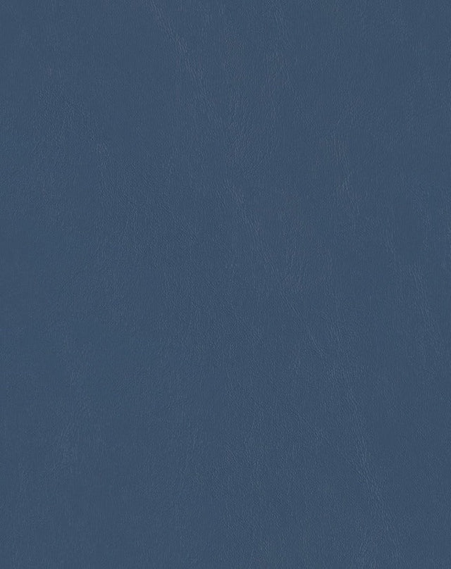 Mayer Spartan Naval SN-024 Craftsman Collection Upholstery Fabric