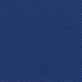 Morbern Marine Allsport Royal Blue AS-106 Upholstery Fabric