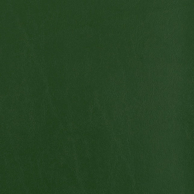 Nassimi Seaquest Evergreen PSQ-104ADF Marine Upholstery Fabric