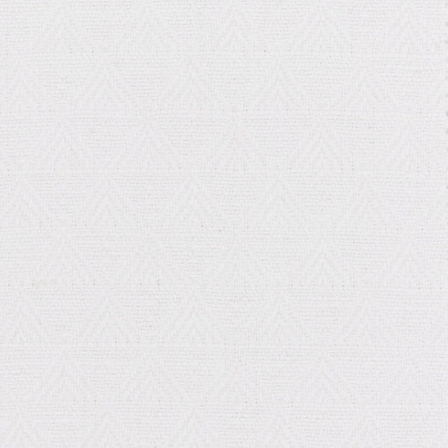Stout Elkins Snow 5 Endless Opportunity Collection Upholstery Fabric