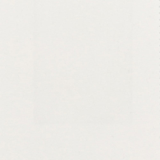 Stout Oslo Snow 1 Endless Opportunity Collection Upholstery Fabric