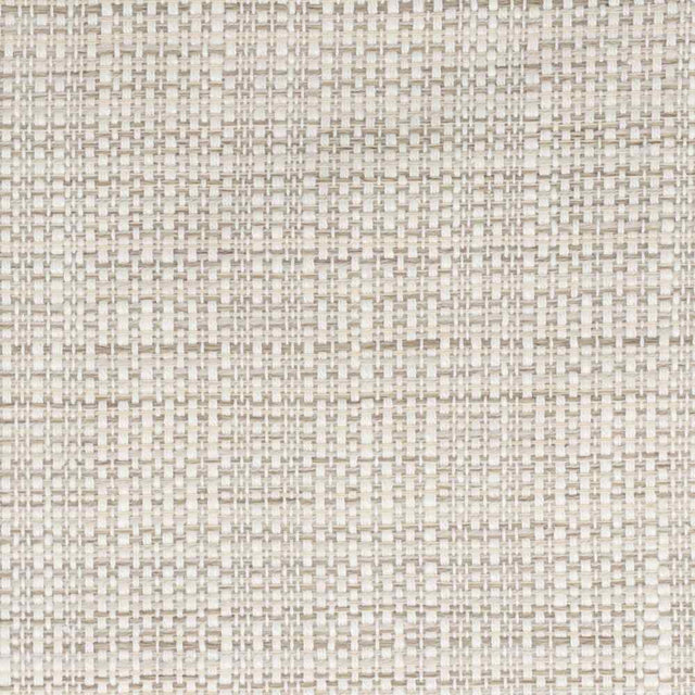 Stout Parody Mushroom 1 Living Is Easy Collection Upholstery Fabric