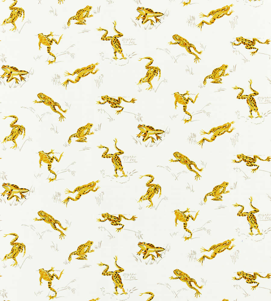 Scalamandre Calabasas County Pineapple SC 000116426M Coast To Coast Collection Upholstery Fabric