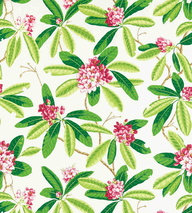 Scalamandre Rhododendron Fuschia SC 000116454M Coast To Coast Collection Upholstery Fabric