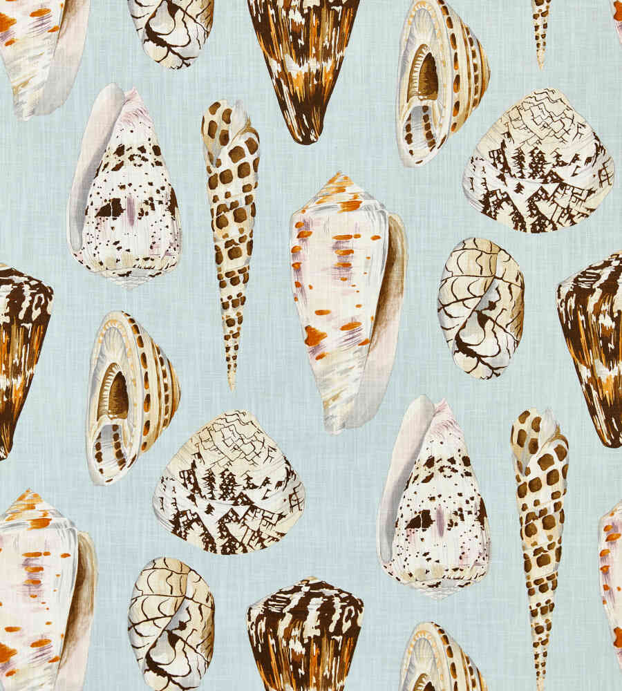 Scalamandre Coquina Multi On Sea Blue SC 000116639 Coast To Coast Collection Upholstery Fabric