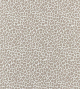 Scalamandre Backyard Bengal Limestone SC 000127316 Coast To Coast Collection Upholstery Fabric
