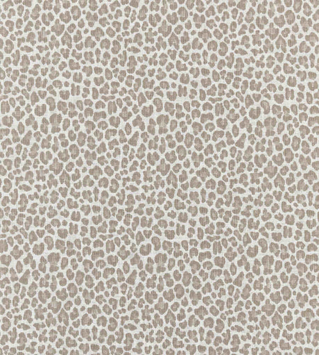 Scalamandre Backyard Bengal Limestone SC 000127316 Coast To Coast Collection Upholstery Fabric