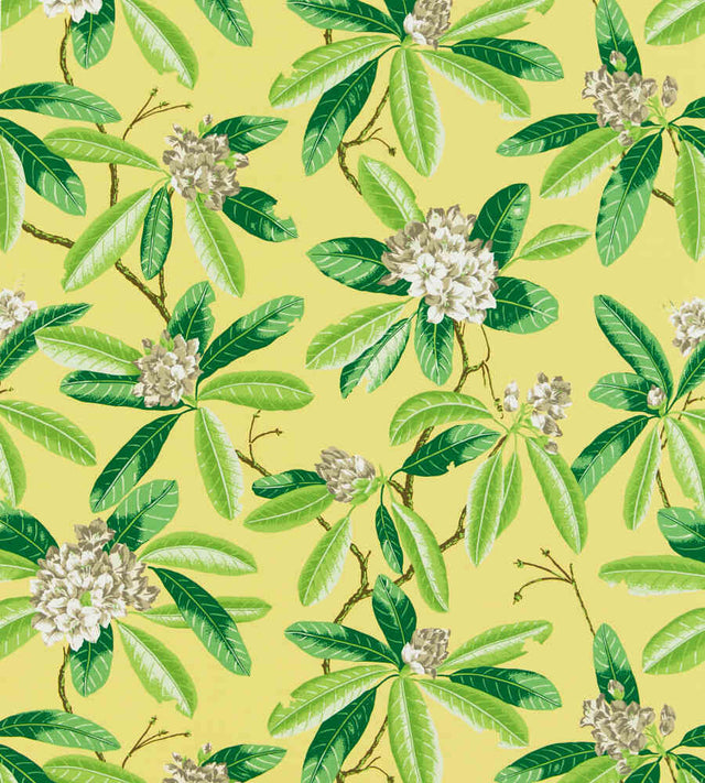 Scalamandre Rhododendron Pineapple SC 000216454M Coast To Coast Collection Upholstery Fabric