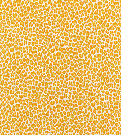 Scalamandre Backyard Bengal Tangerine SC 000227316 Coast To Coast Collection Upholstery Fabric