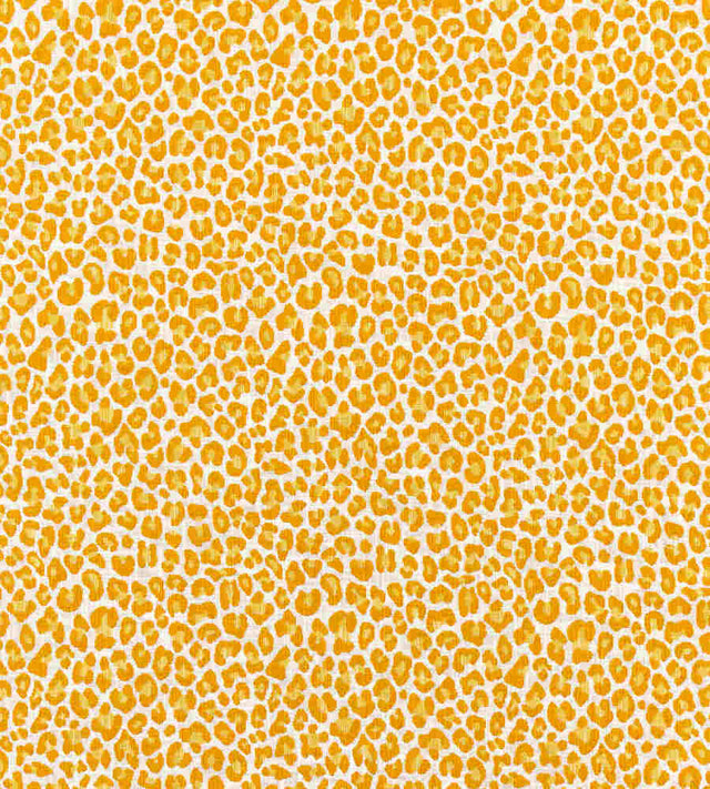 Scalamandre Backyard Bengal Tangerine SC 000227316 Coast To Coast Collection Upholstery Fabric