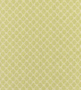 Scalamandre Cape May Key Lime SC 000227317 Coast To Coast Collection Upholstery Fabric