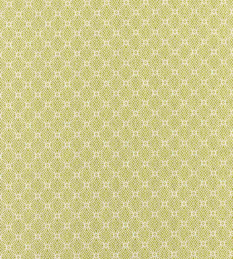 Scalamandre Cape May Key Lime SC 000227317 Coast To Coast Collection Upholstery Fabric
