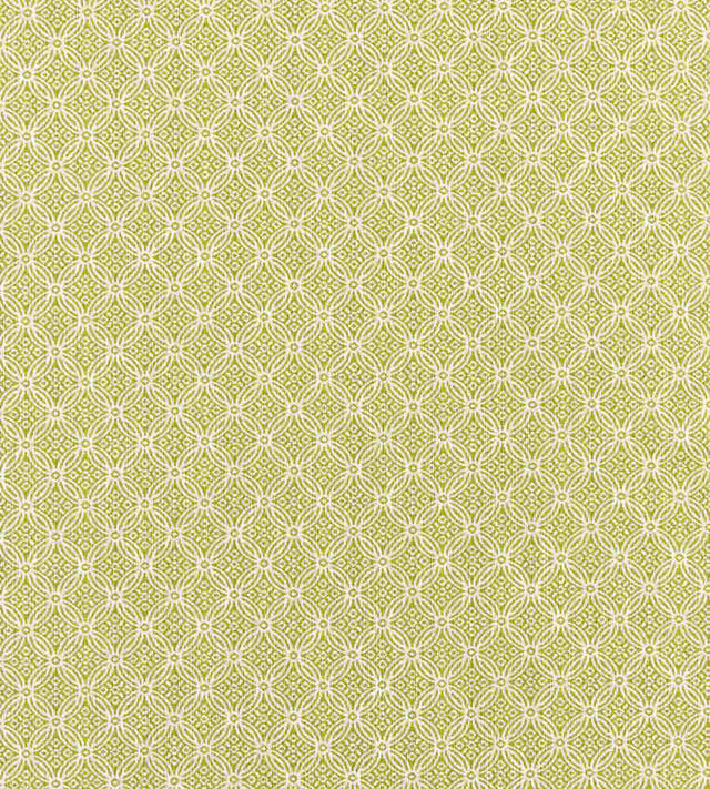 Scalamandre Cape May Key Lime SC 000227317 Coast To Coast Collection Upholstery Fabric