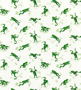 Scalamandre Calabasas County Snap Pea SC 000316426M Coast To Coast Collection Upholstery Fabric