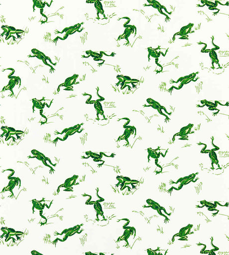 Scalamandre Calabasas County Snap Pea SC 000316426M Coast To Coast Collection Upholstery Fabric