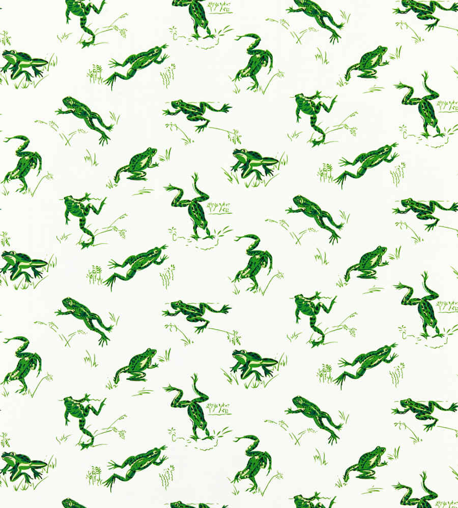 Scalamandre Calabasas County Snap Pea SC 000316426M Coast To Coast Collection Upholstery Fabric