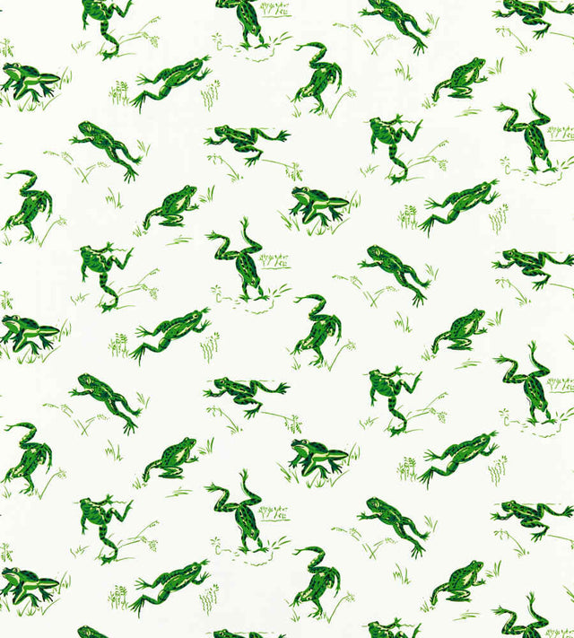 Scalamandre Calabasas County Snap Pea SC 000316426M Coast To Coast Collection Upholstery Fabric