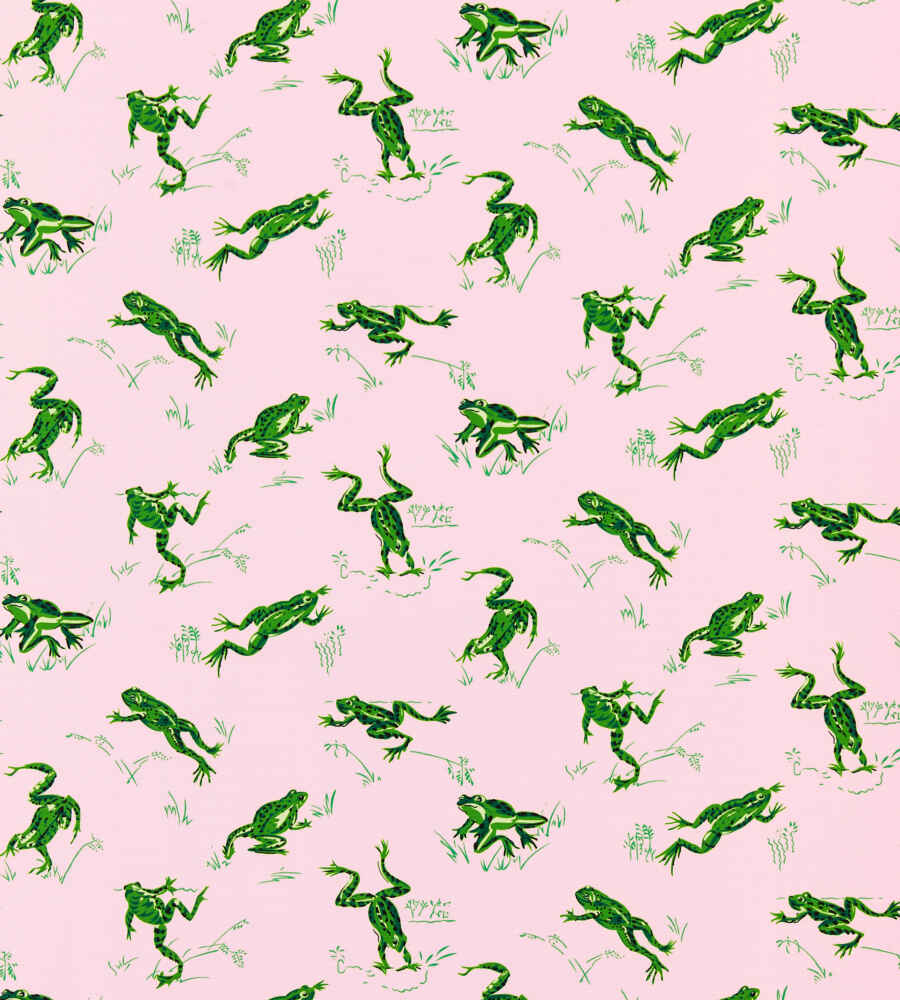 Scalamandre Calabasas County Camelia SC 000416426M Coast To Coast Collection Upholstery Fabric