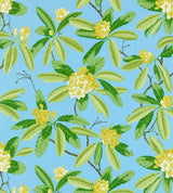Scalamandre Rhododendron Carolina SC 000416454M Coast To Coast Collection Upholstery Fabric