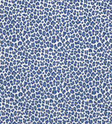 Scalamandre Backyard Bengal Cobalt SC 000427316 Coast To Coast Collection Upholstery Fabric