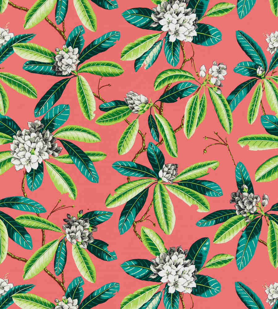 Scalamandre Rhododendron Flamingo SC 000516454M Coast To Coast Collection Upholstery Fabric