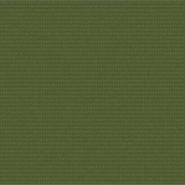Outdura ETC Grass 2668 Ovation 4 Collection - Garden Spot Upholstery Fabric
