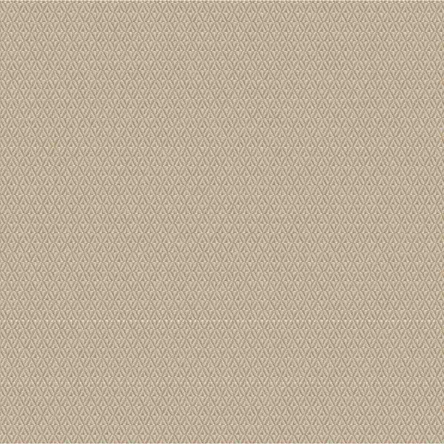 Outdura Plateau Ecru 11806 Ovation 4 Collection - Warm Winter Upholstery Fabric