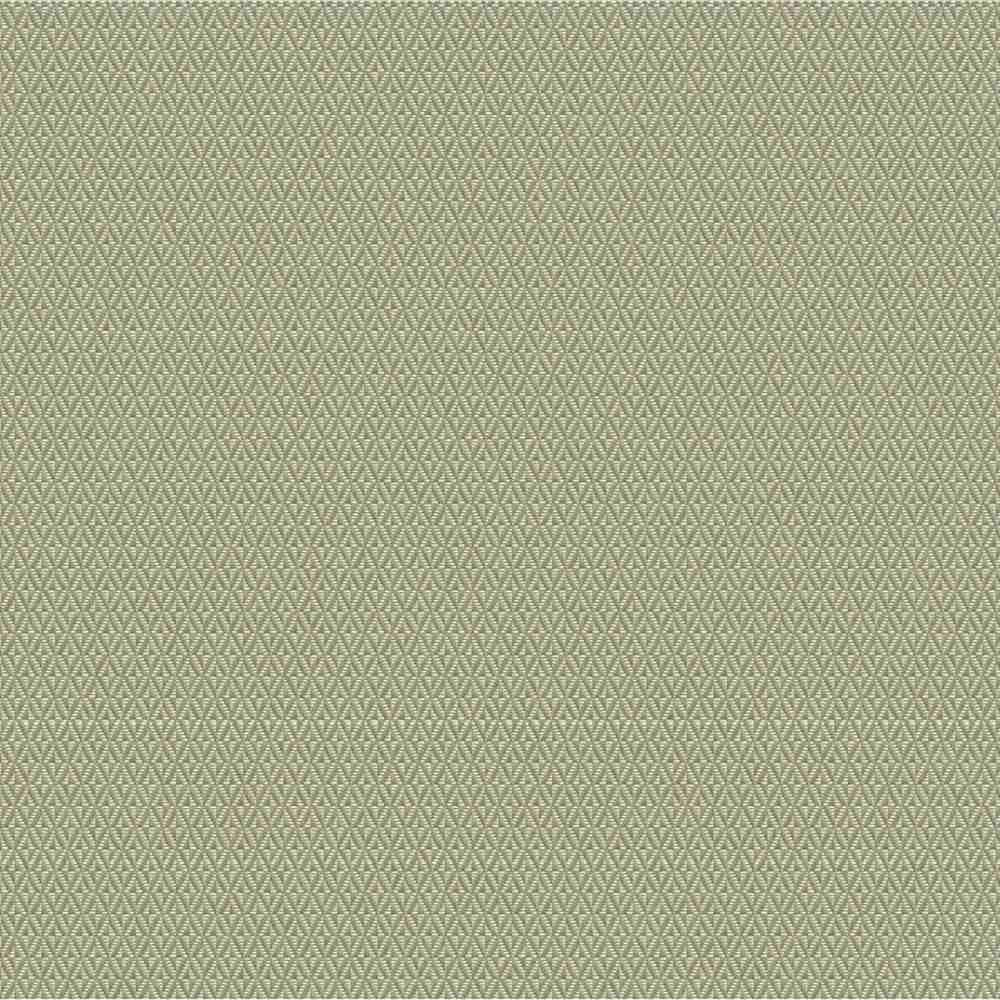 Outdura Plateau Sage 11801 Ovation 4 Collection - Garden Spot Upholstery Fabric