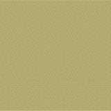 Outdura Samba Basil 10812 Ovation 4 Collection - Garden Spot Upholstery Fabric