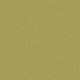 Outdura Solids Pesto 5432 Modern Textures Collection Upholstery Fabric