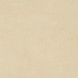 Patio Lane 118 inch Antique Beige 0022 Outdoor Sheers Collection Drapery Fabric