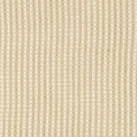 Patio Lane 118 inch Antique Beige 0022 Outdoor Sheers Collection Drapery Fabric