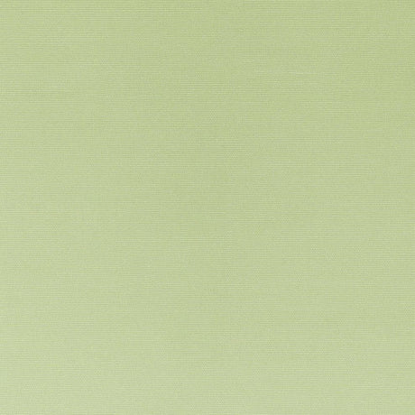 Patio Lane 118 inch Lime 9117 Outdoor Sheers Collection Drapery Fabric