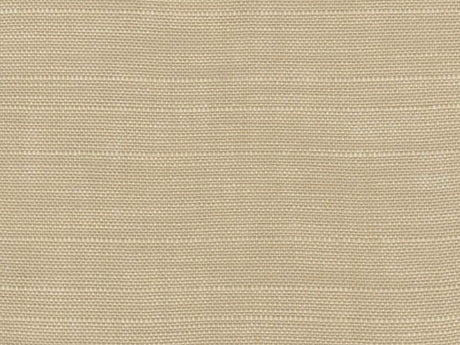 Perennials in the Rough Paper Bag 957-25 Rose Tarlow Melrose House Collection Upholstery Fabric