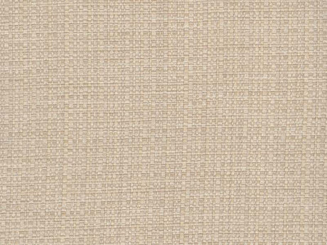 Perennials Raffia Vellum 210-170 Clodagh Collection Upholstery Fabric