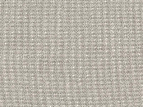 Perennials Rough 'n Rowdy Ash 955-108 Beyond the Bend Collection Upholstery Fabric